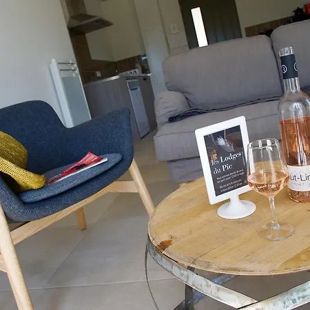 Holiday home Les Du Pic