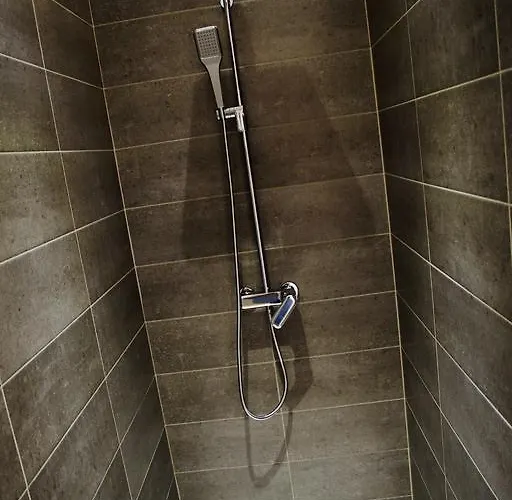 Les Du Pic בית נופש